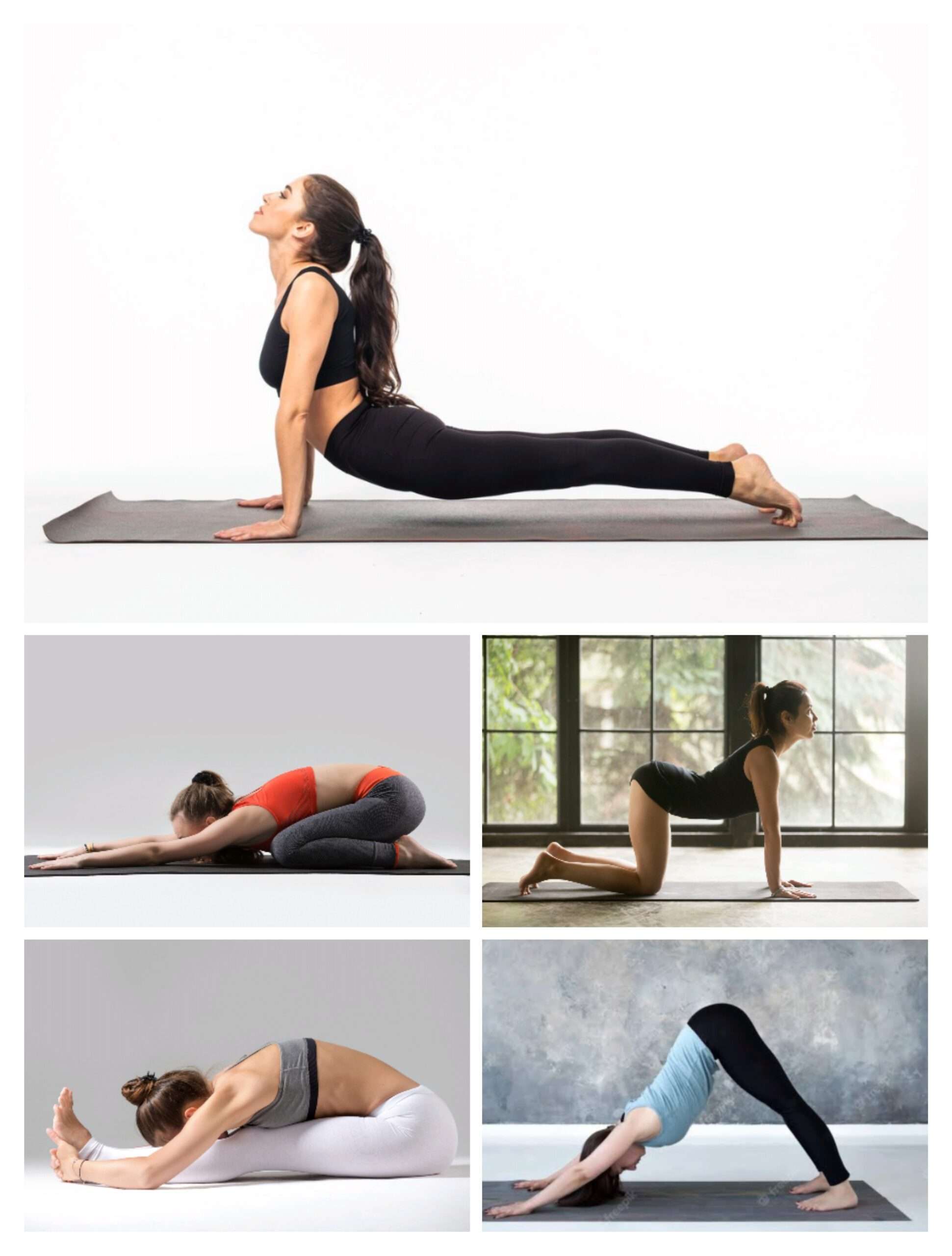 yoga for lower back pain